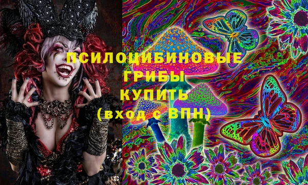 стафф Абинск