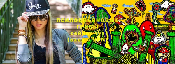 стафф Абинск