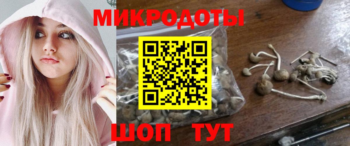 Псилоцибиновые грибы Psilocybe  наркотики  Псилоцибиновые грибы Psilocybe  Скопин  Вход с VPN 