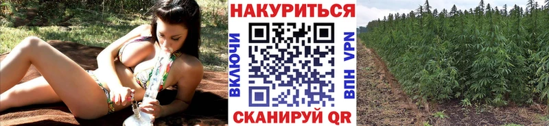 магазин продажи наркотиков  Скопин  Конопля гибрид 